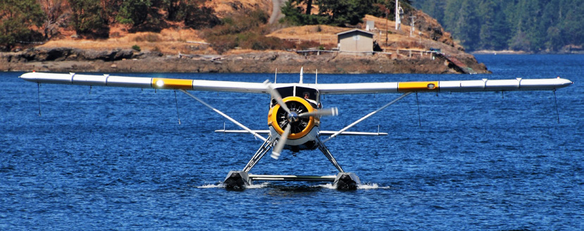 Regulations and Policies – China GA Report 2019