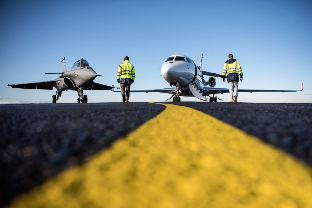 Falcons, A Different Breed