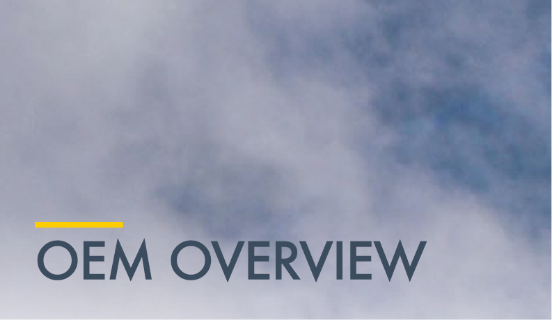 OEM Overview – Business Jet Fleet Report YE 2019