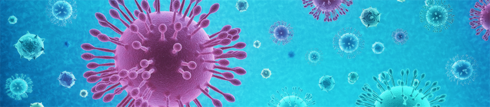 COVID-19: Impact on Charter – Charter Report 2020